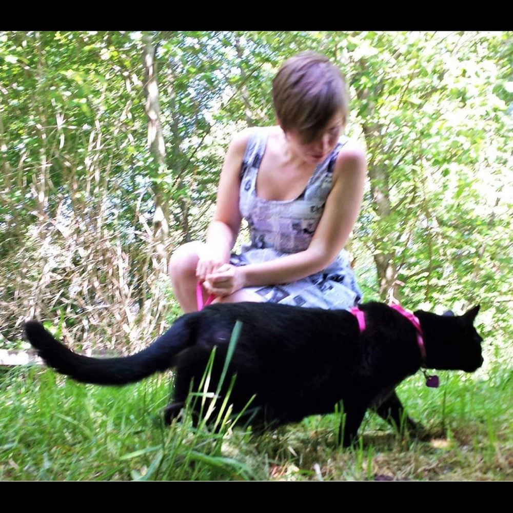 Spreading the Mews Cat dress